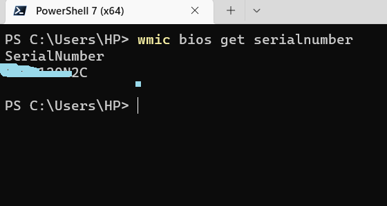 WMIC command to find serial number of computer